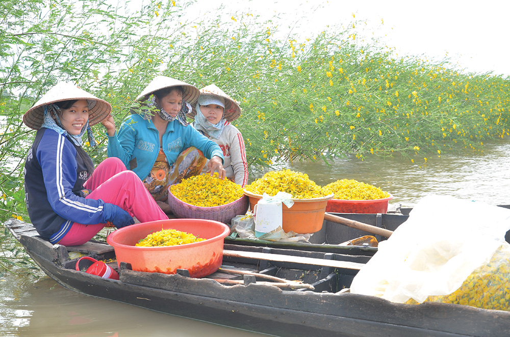 An Giang: Đặc sản mùa nước nổi có cá linh non, càng cua đồng