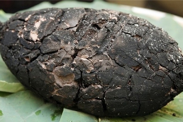 Nghe đồn về “gà cái bang” - món ăn cực phẩm miền Tây - Du lịch mở Toàn Cầu | Tổ chức tour chuyên nghiệp