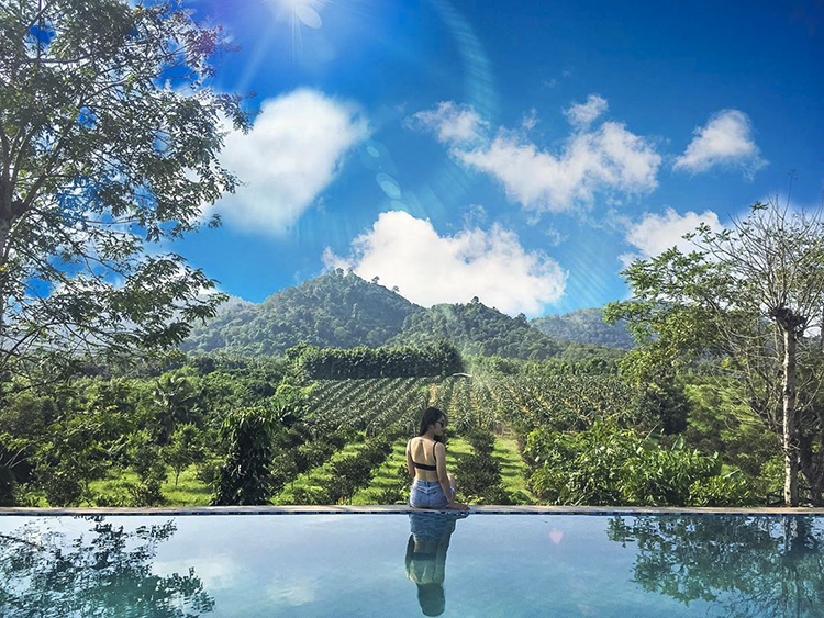 Lee's House Buôn Mê Thuột - khu nghỉ dưỡng chanh sả chả kém gì thiên đường Bali