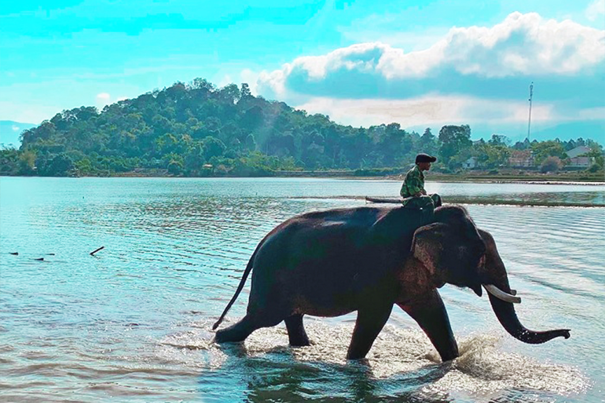 SGN-BMV] Lạc Lối Ở Buôn Mê - 3N3Đ - Nita Travel