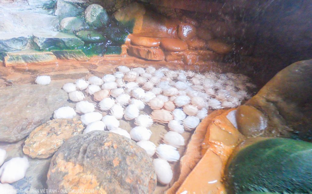 Review] Suối khoáng nóng núi Thần Tài Đà Nẵng có gì vui? – Dulichbui24 | Blog du lịch trải nghiệm và khám phá!