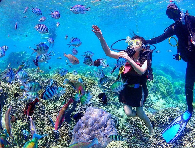 Lặn biển ngắm san hô Hòn Mun Nha Trang