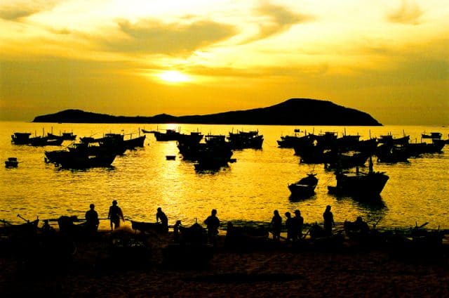Đầm Ô Loan mộng mơ xứ Hoa Vàng Trên Cỏ Xanh ở Phú Yên