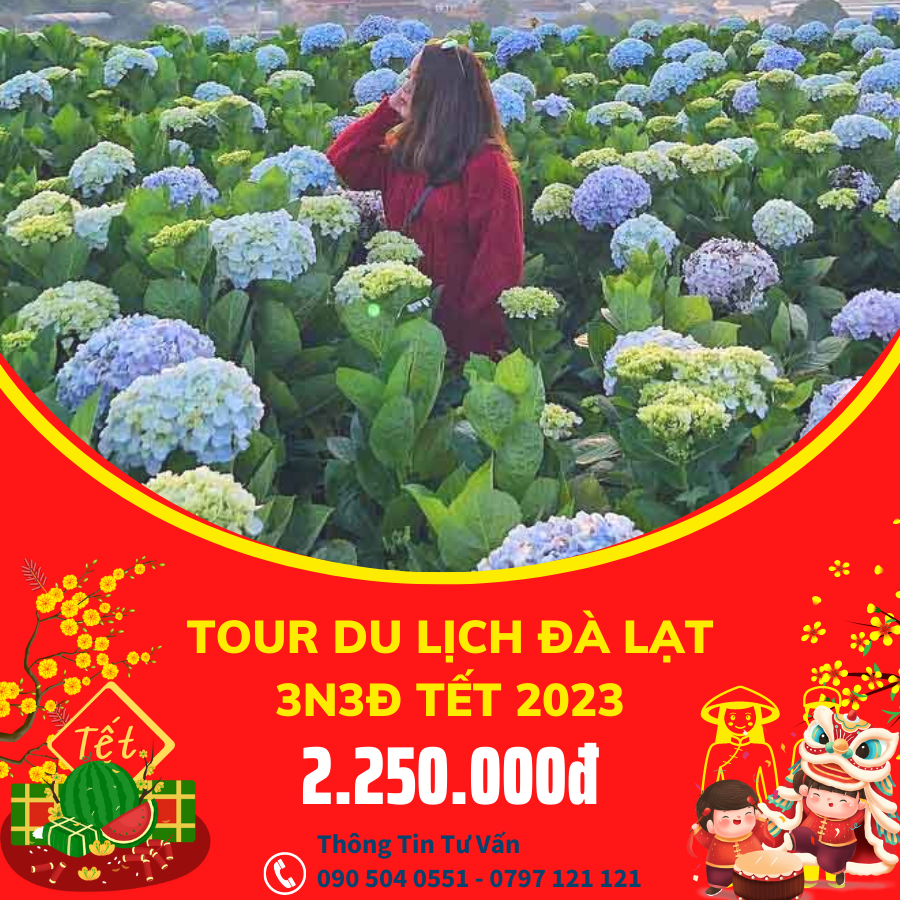 tour-du-lich-da-lat-tet-2023-3n3d