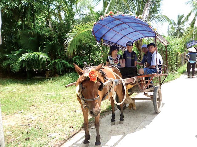 tour-con-phung-ben-tre-va-trai-nghiem-ai-cung-me